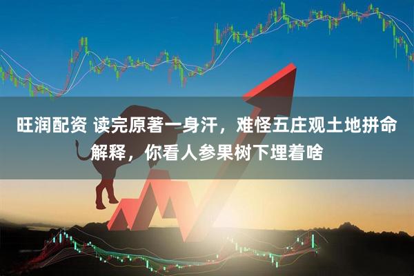 旺润配资 读完原著一身汗，难怪五庄观土地拼命解释，你看人参果树下埋着啥